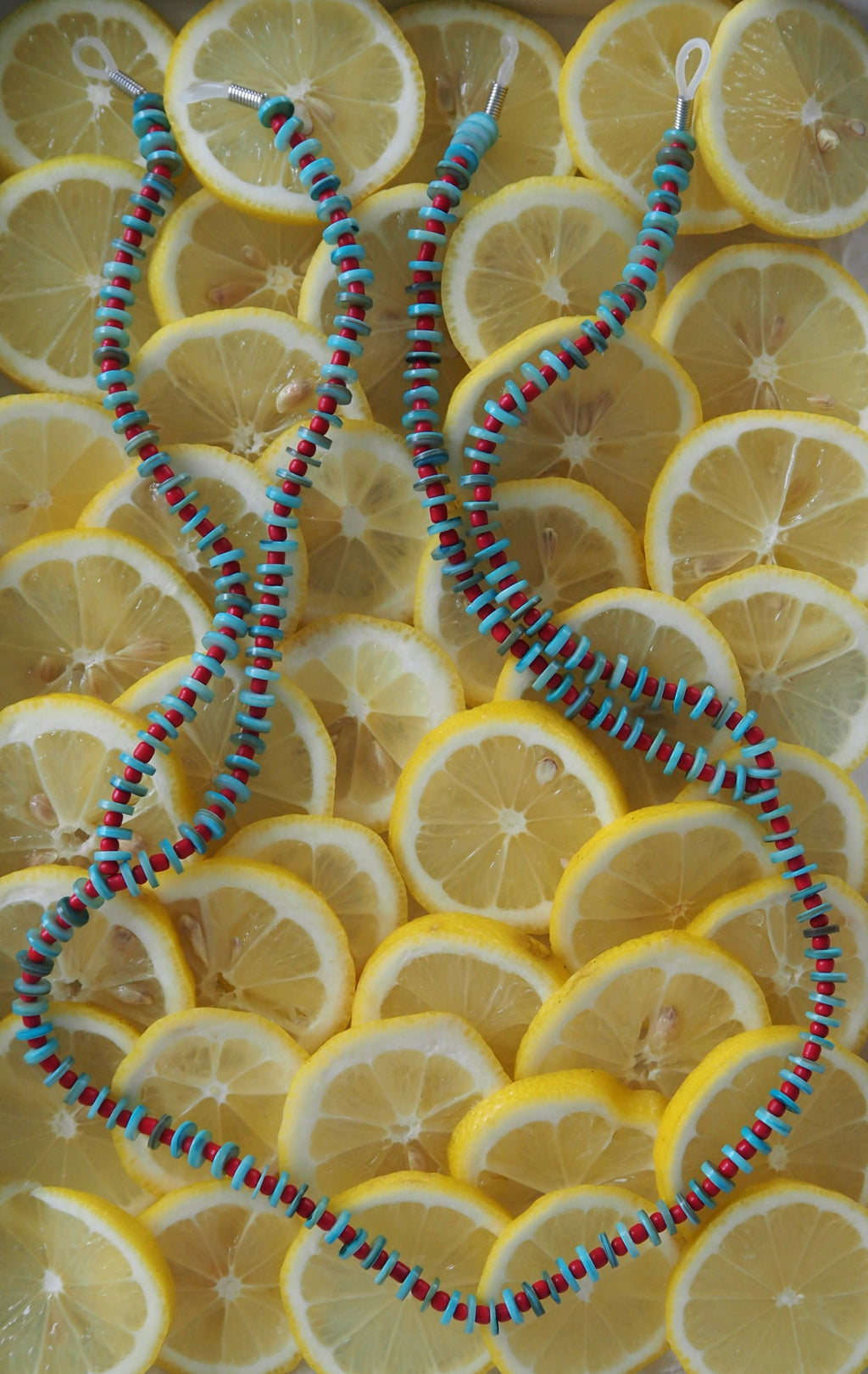 The Celia